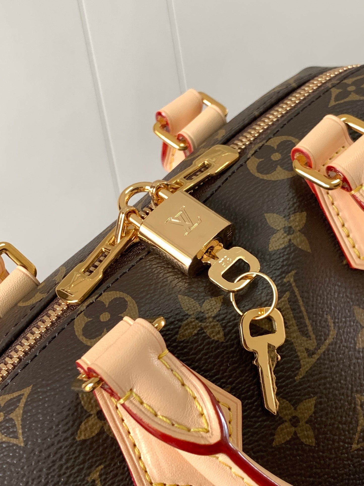 SPEEDY BANDOULIÈRE 20 HANDBAG M46234