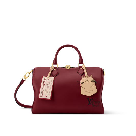 SPEEDY SOFT 30 Handbag  M25766
