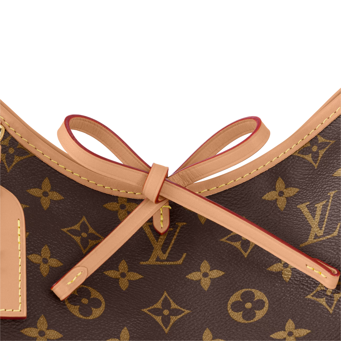 Carryall Small Handbag  M46203