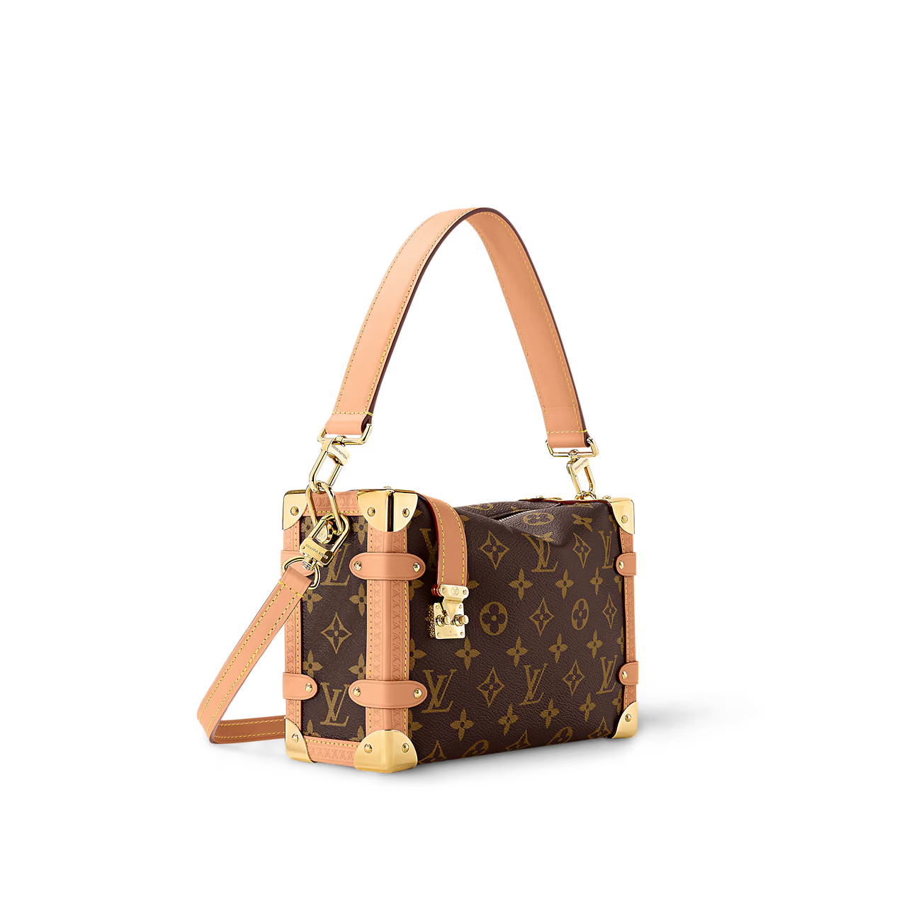Medium Side Trunk Handbag  M46358