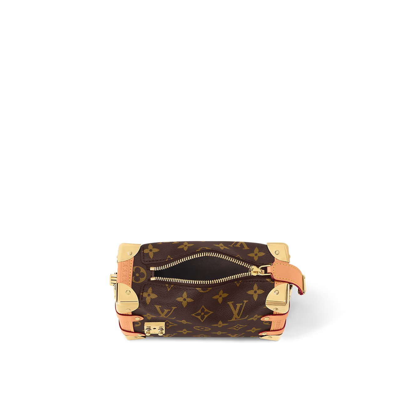 Small Side Trunk Handbag  M46815